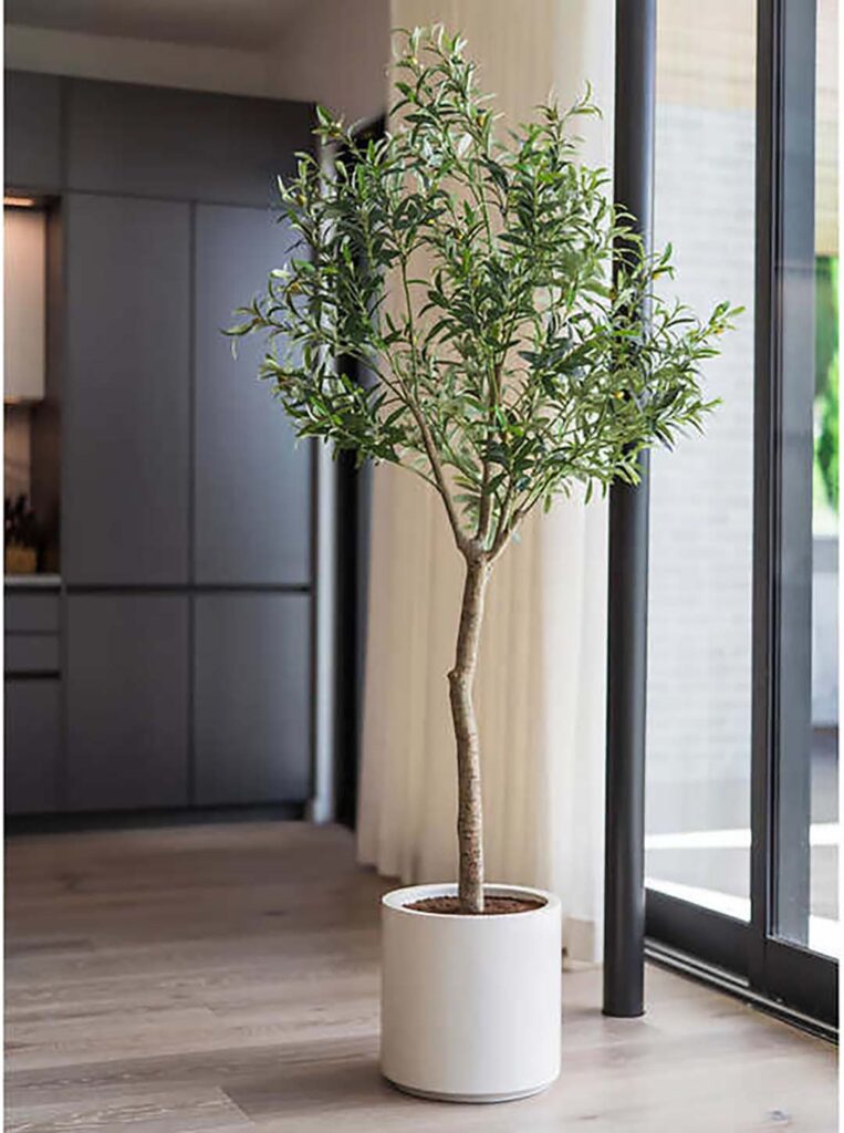 Costco Faux Olive Tree